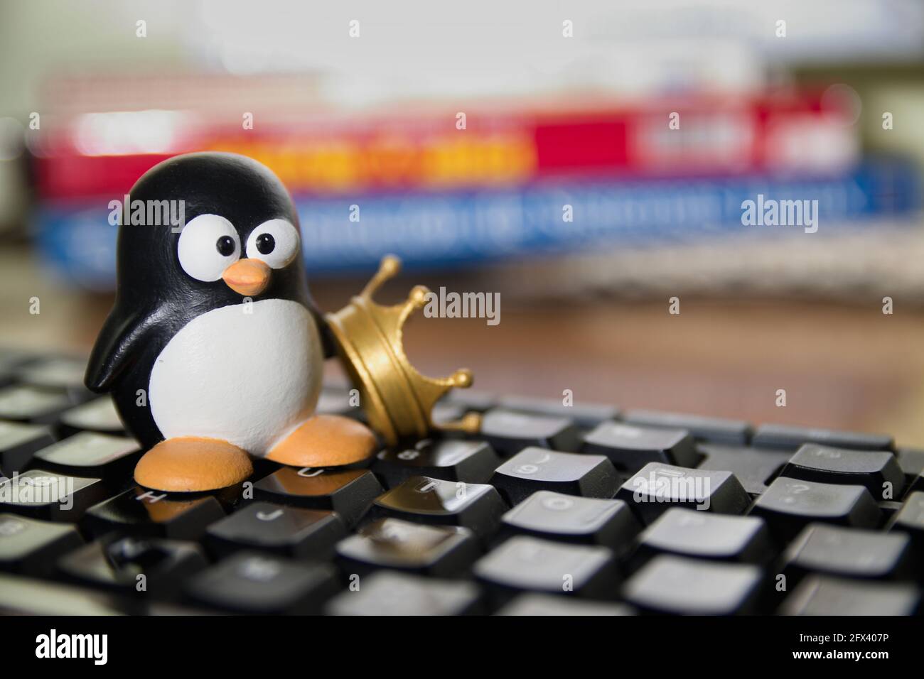 Tux, figura del simbolo del Software libero Linux accanto ad una corona, su una tastiera per computer e con spazio per la copia sullo sfondo Foto Stock