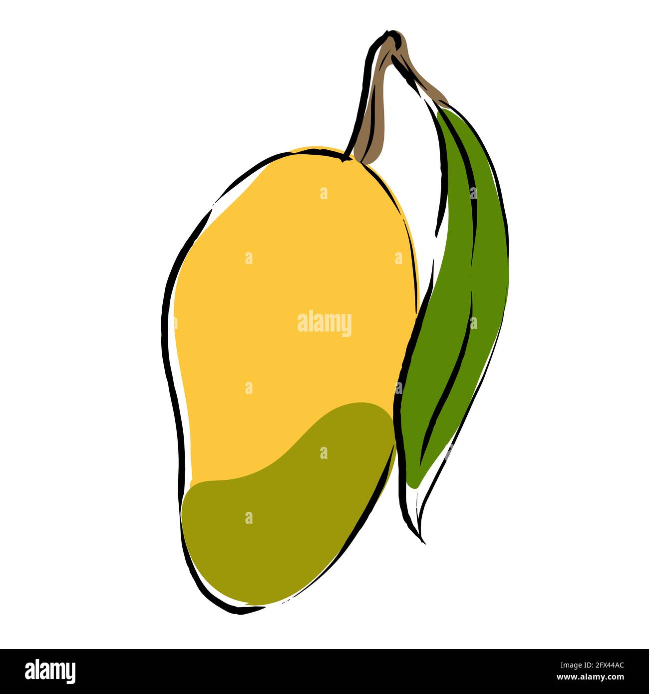 Illustrazione disegnata a mano da Mango. Succosa frutta esotica. Isolato su sfondo bianco. Illustrazione Vettoriale