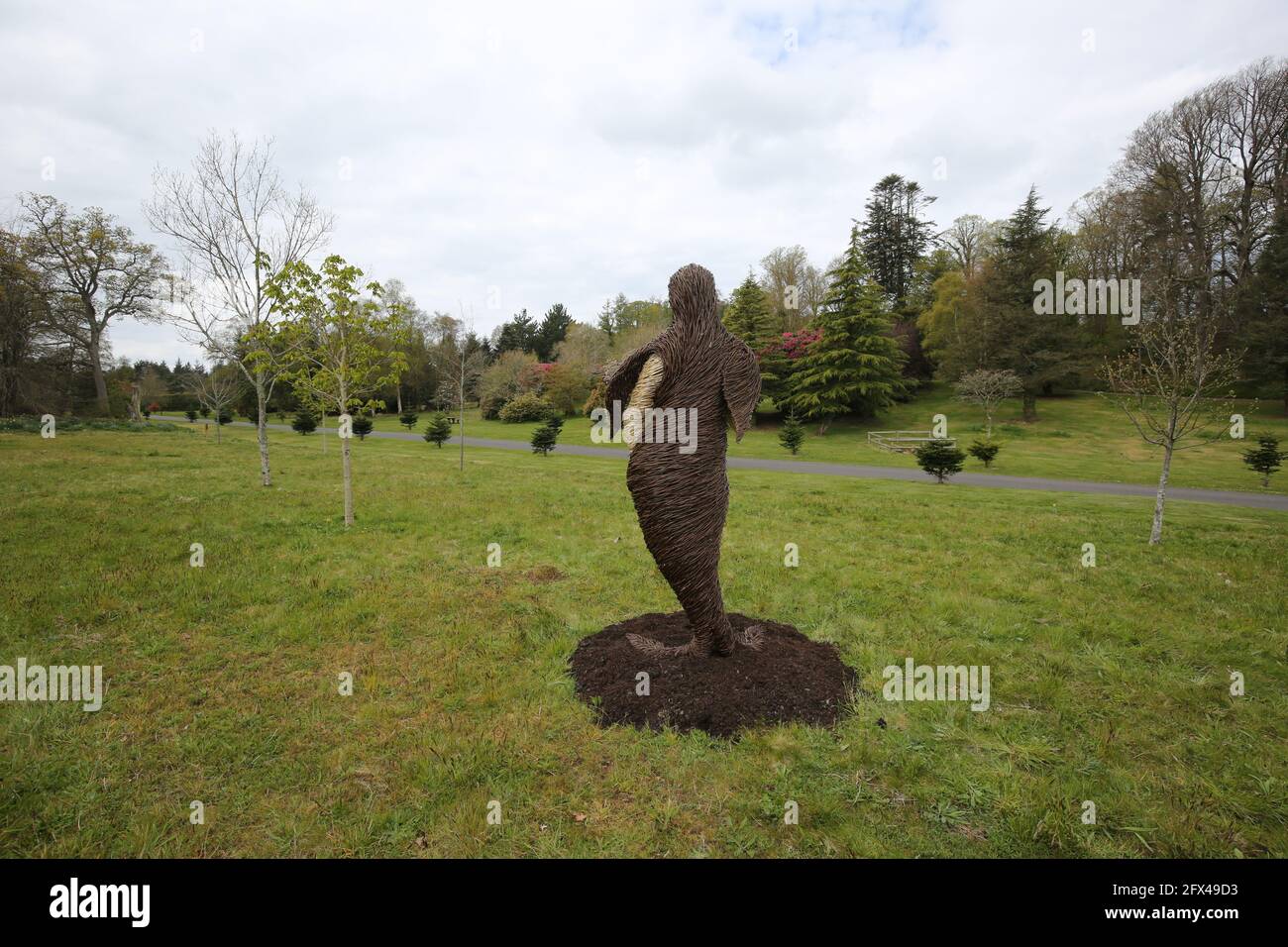 Culzean Castle Grounds, South Ayrshire, Scozia, Regno Unito. Una serie di sculture di salici raffiguranti creature reali e mitiche, del mare e dell'acqua. Foto Stock