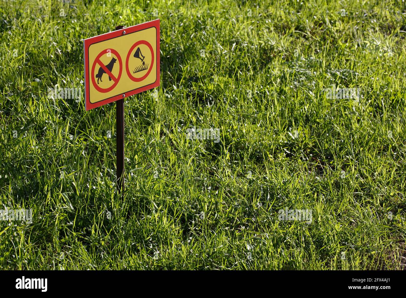 cartello giallo con applicazione chimica, nessun cane o animale domestico sfondo verde del prato - primo piano con messa a fuoco selettiva Foto Stock