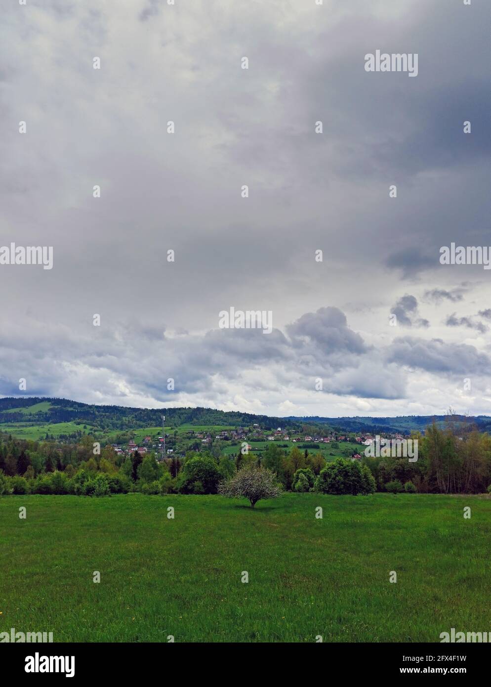Immagine verticale della vista panoramica delle montagne polacche con un albero al centro di un enorme prato verde durante Cloud di overcast situato nella regione di BE Foto Stock