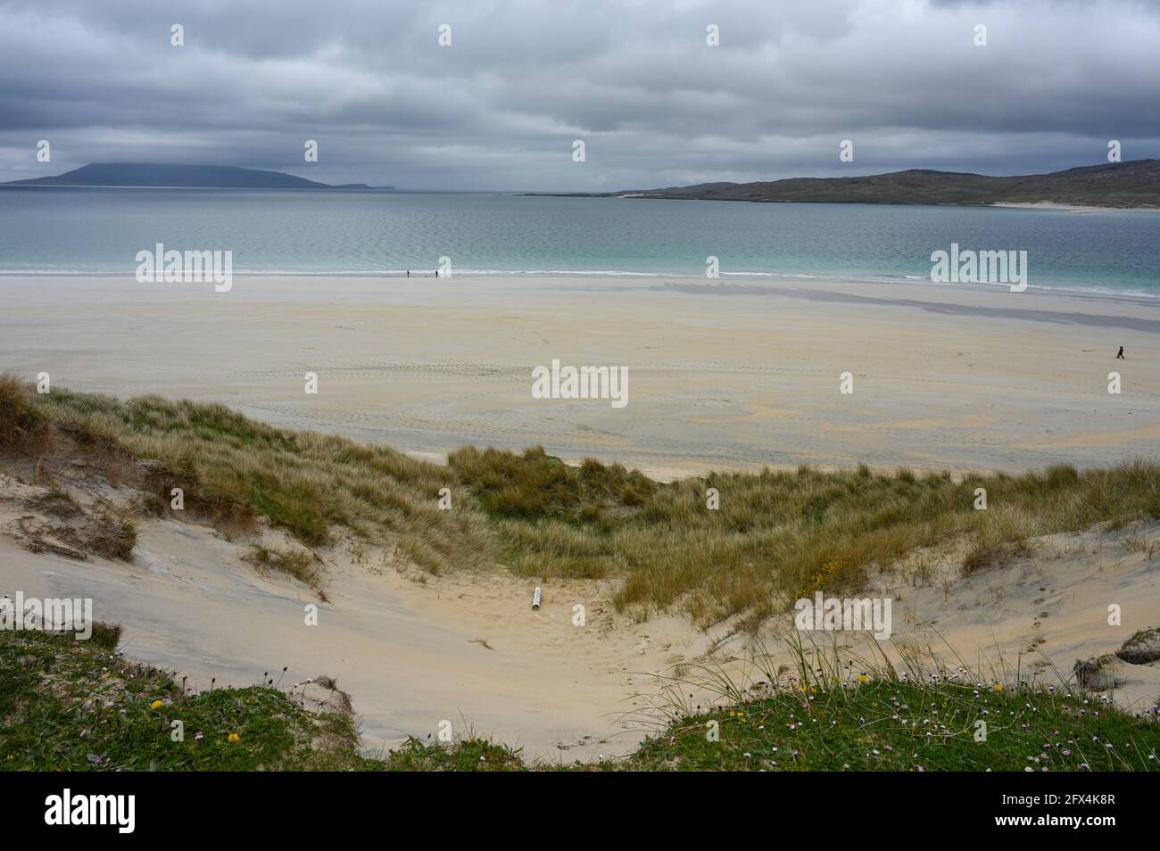 Luskentire Beach, Isola di Harris, Scozia. Moody giorno con cielo nuvoloso. Con spiaggia di sabbia, mare turchese, dune di sabbia con erba e fiori. Foto Stock
