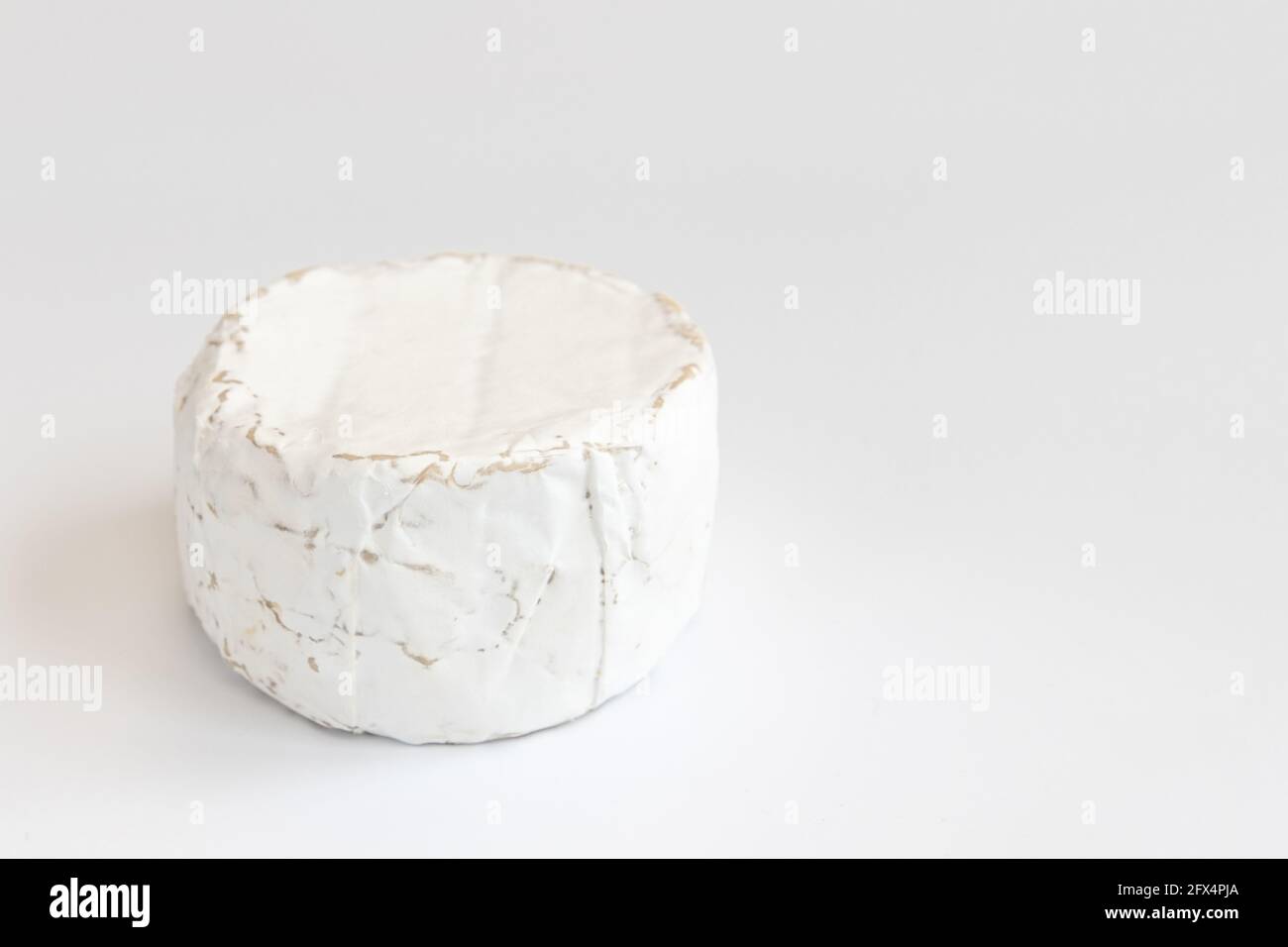 testa di gustoso formaggio camembert isolato su bianco, tipo brie di formaggio, francese Foto Stock