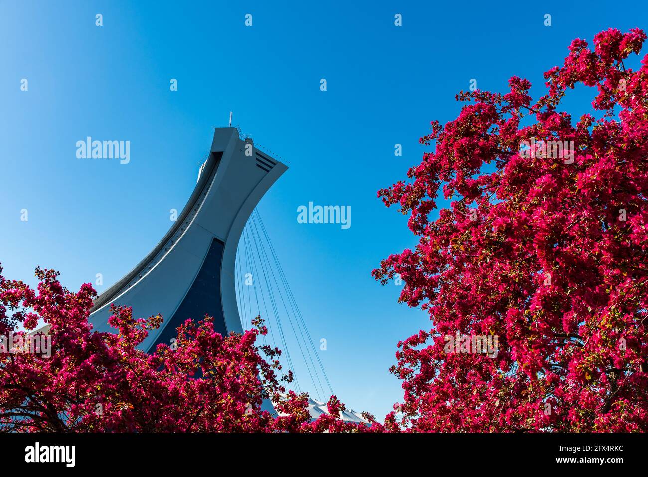 Splendida vista primaverile della torre dello stadio Olimpico con colorato alberi in fiore Foto Stock