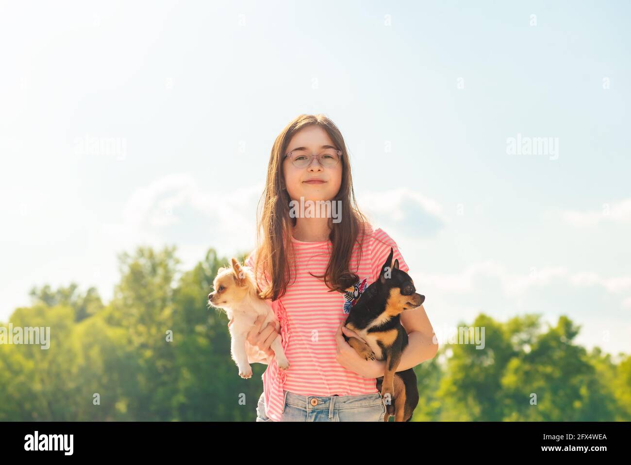 Ragazza adolescente con cani da compagnia in braccio. Bella ragazza con due cani chihuahua sulla natura. Foto Stock
