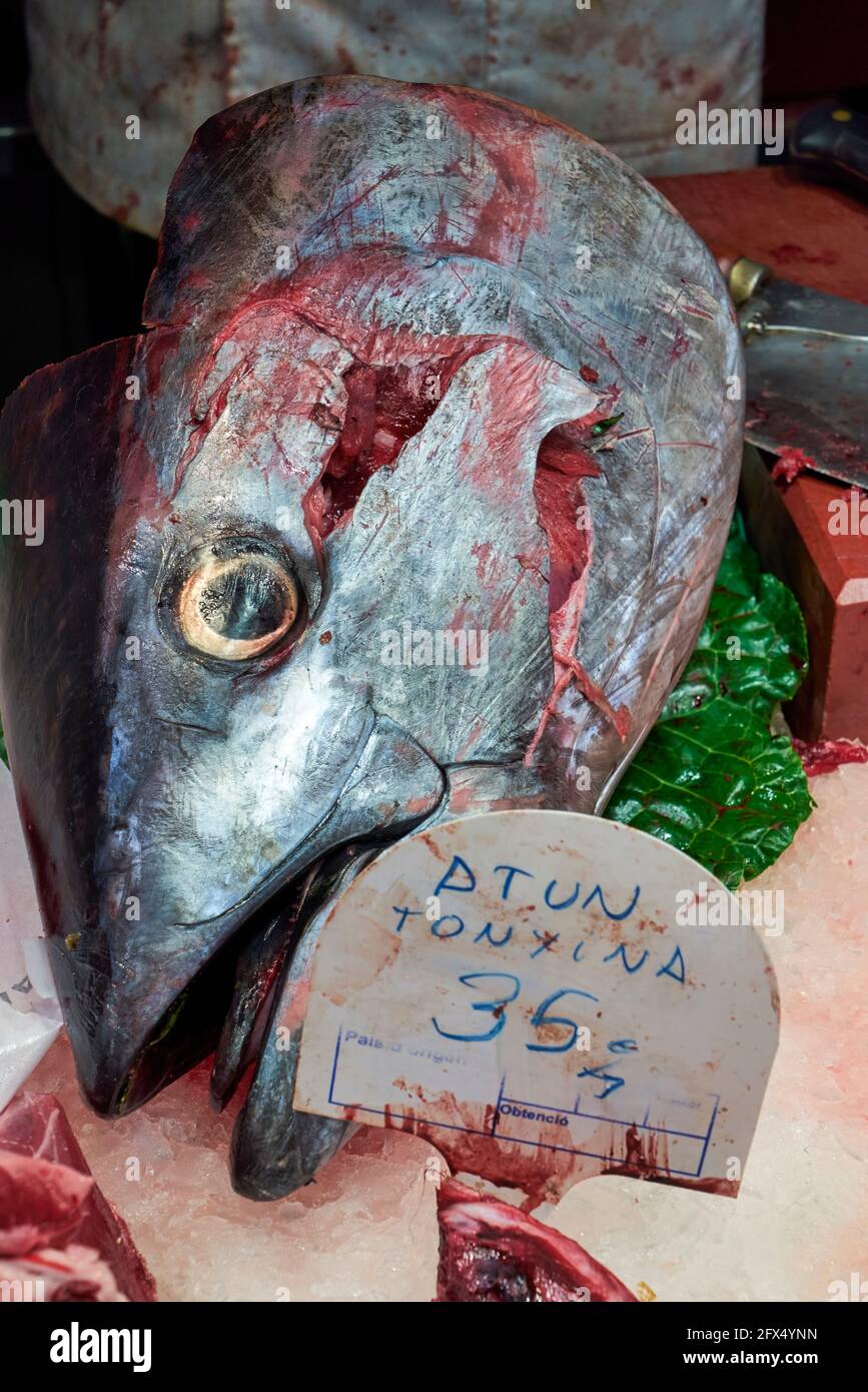 Barcellona. Catalogna. Spagna. Il Mercat de Sant Josep de la Boqueria. Tonno fresco al chiosco fishmonger Foto Stock