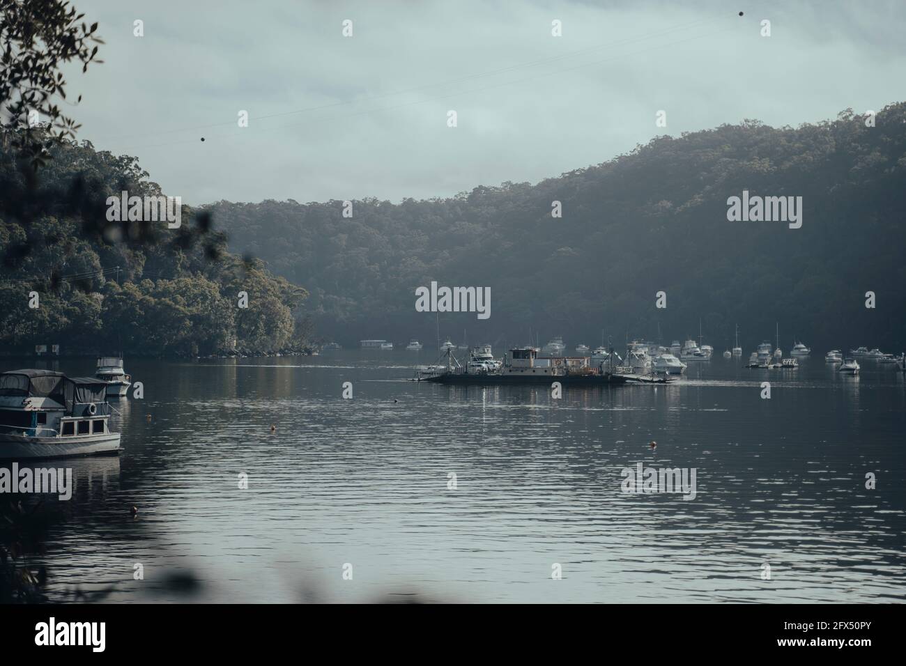 Tranquillo lungomare - Berowra Waters Ferry che attraversa il fiume (Berowra Creek). Foto Stock