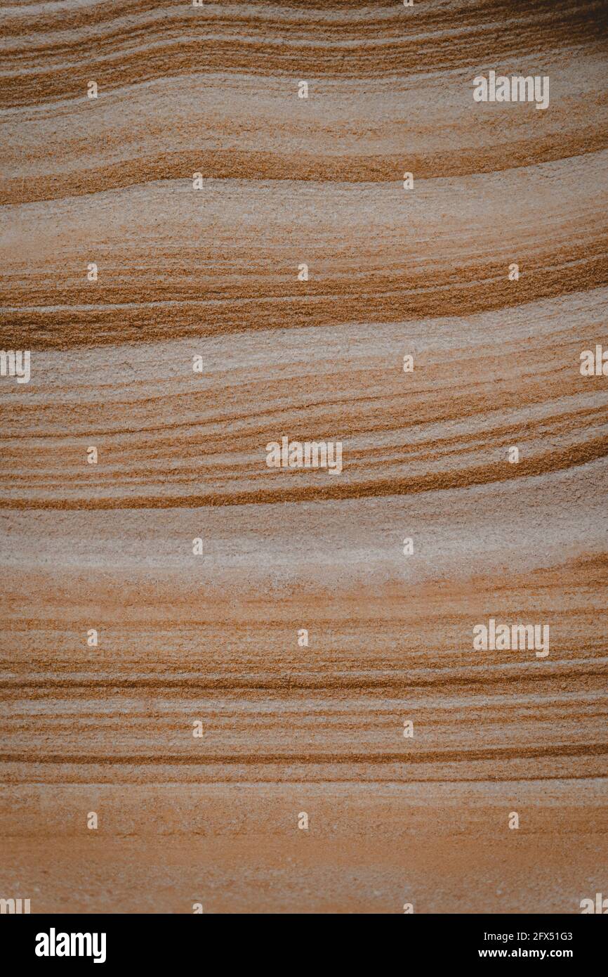 Primo piano di dettagli del motivo eroso della texture degli strati di arenaria. Visto in un'escursione al Berowra Creek vicino al fiume Hawkesbury. Foto Stock
