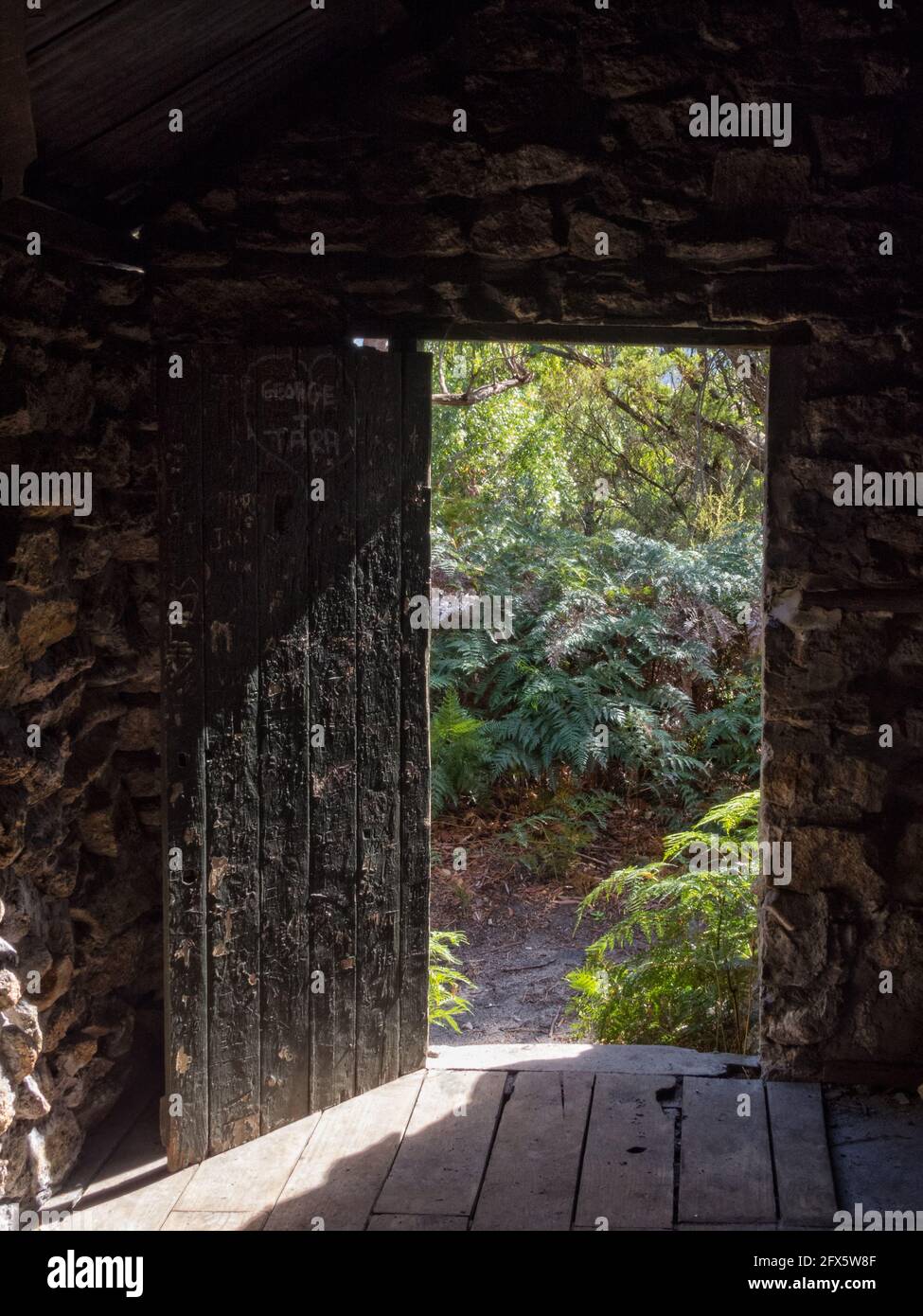 Vista della lussureggiante vegetazione costiera da Halfway Hut attraverso la porta - Wilsons promontory, Victoria, Australia Foto Stock