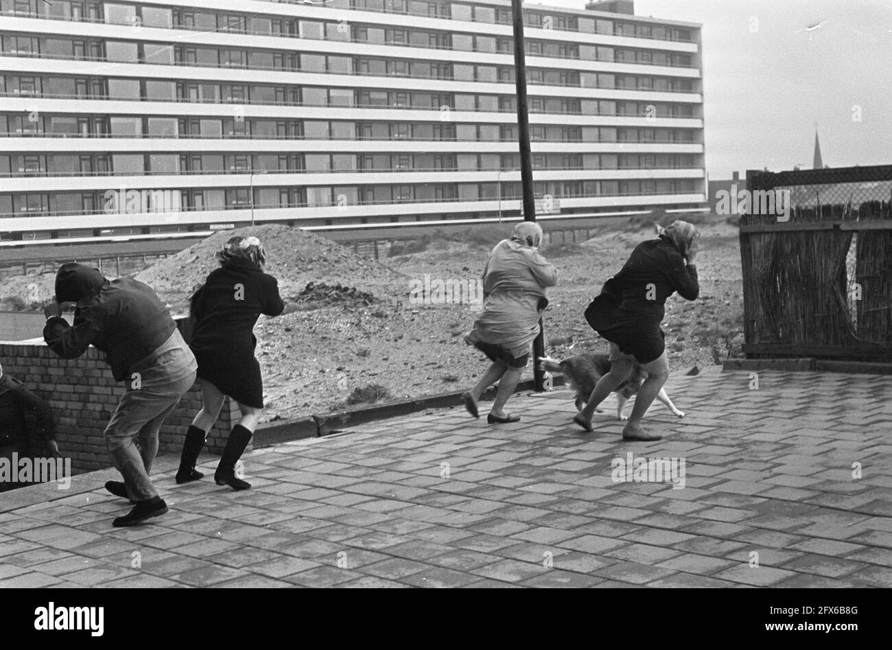 Tempesta d'autunno. E 'difficile camminare sul viale di Zandvoort, 17 ottobre 1967, viali, tempeste, I Paesi Bassi, foto agenzia stampa del XX secolo, notizie da ricordare, documentario, fotografia storica 1945-1990, storie visive, Storia umana del XX secolo, che cattura momenti nel tempo Foto Stock