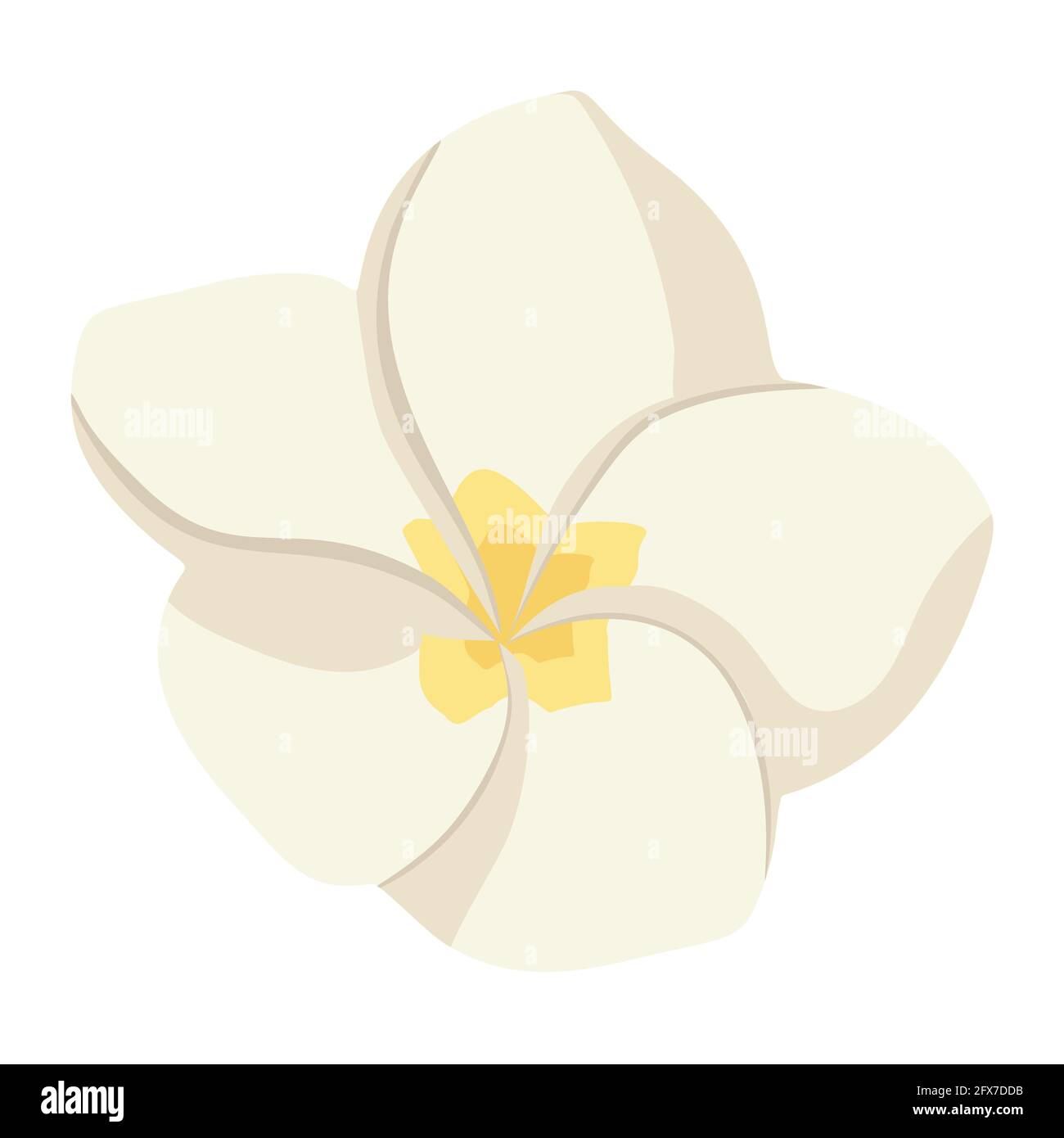 Icona di fiori esotici. Frangipani modello floreale tropicale per logo, cosmetici, spa, prodotti per la cura della bellezza, stampe, adesivi Illustrazione Vettoriale