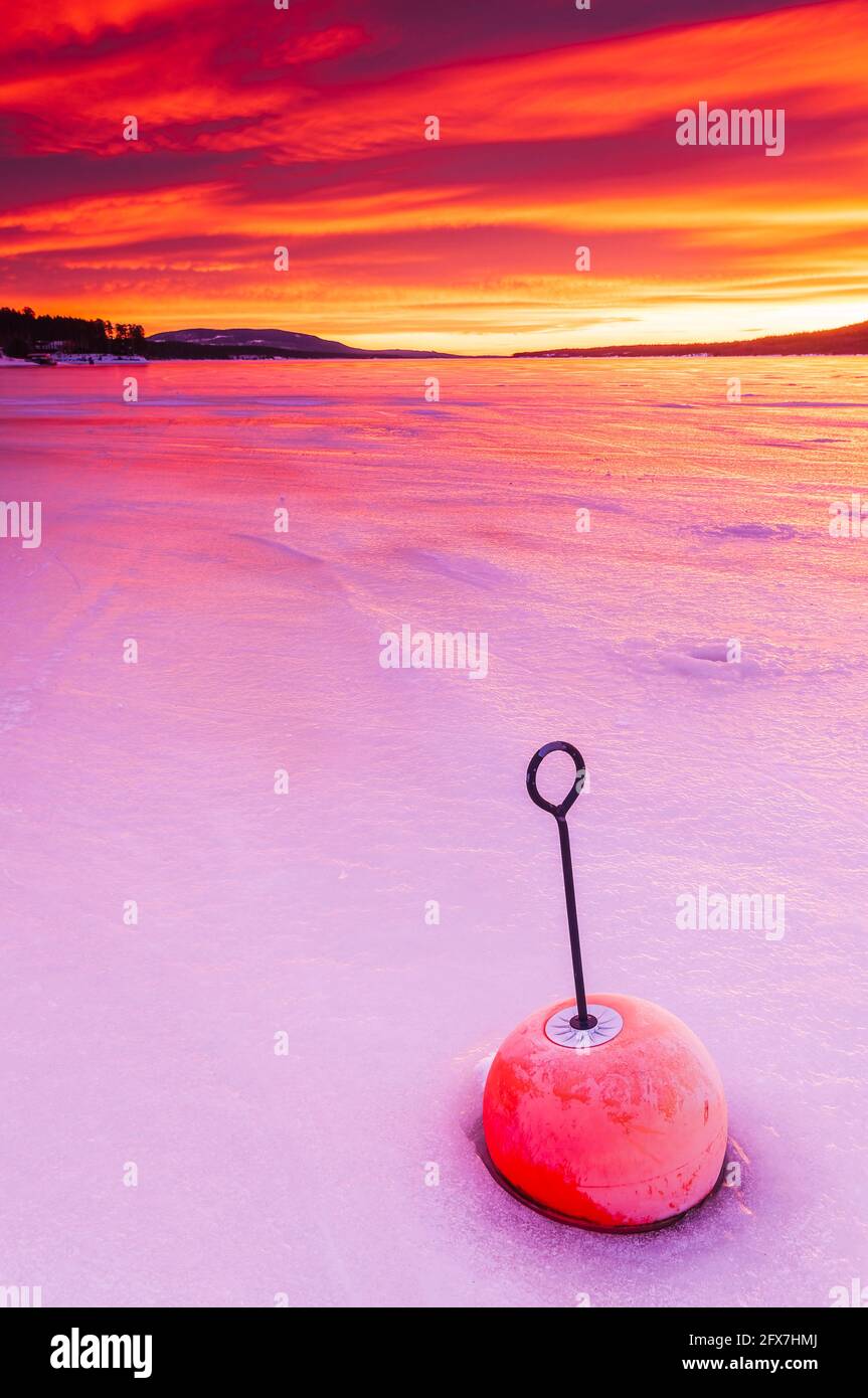 Boa nel lago ghiacciato all'alba Foto Stock