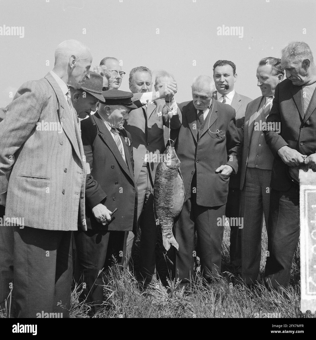140 pescatori anziani sul canale dell'Olanda del Nord, 6 giugno 1962, Paesi Bassi, foto dell'agenzia stampa del XX secolo, notizie da ricordare, documentario, fotografia storica 1945-1990, storie visive, Storia umana del XX secolo, che cattura momenti nel tempo Foto Stock