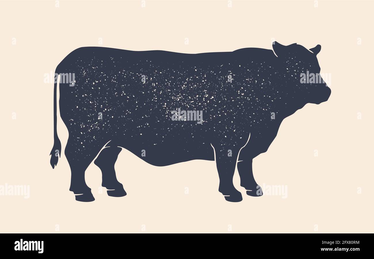 Silhouette di mucca o toro. Silhouette di mucca o toro isolato in bianco e nero. Stampa retrò vintage per il commercio di carne, negozio di carne, menu ristorante. Logo, segno mucca o toro per il macelleria. Illustrazione vettoriale Illustrazione Vettoriale