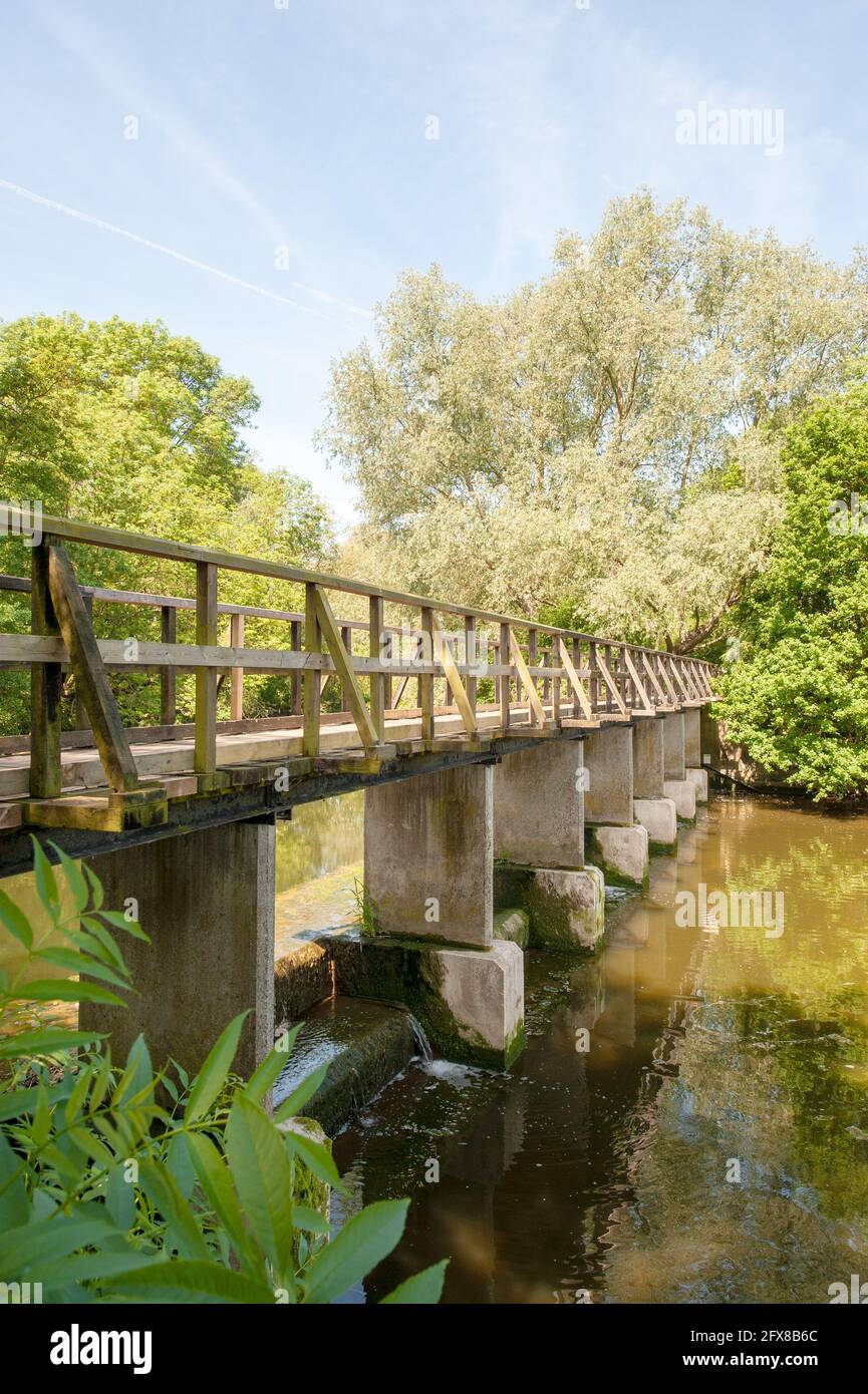 Ponte di legno a piedi su fondali di cemento su acqua still, fiume e weir in posizione rurale in Essex Foto Stock