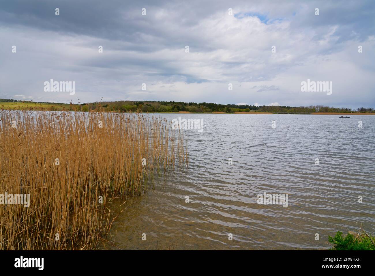 Le nuvole di pioggia si insinuano nel cielo sulle acque increspate del lago Ladyburn vicino a Morpeth, Northumbria Foto Stock