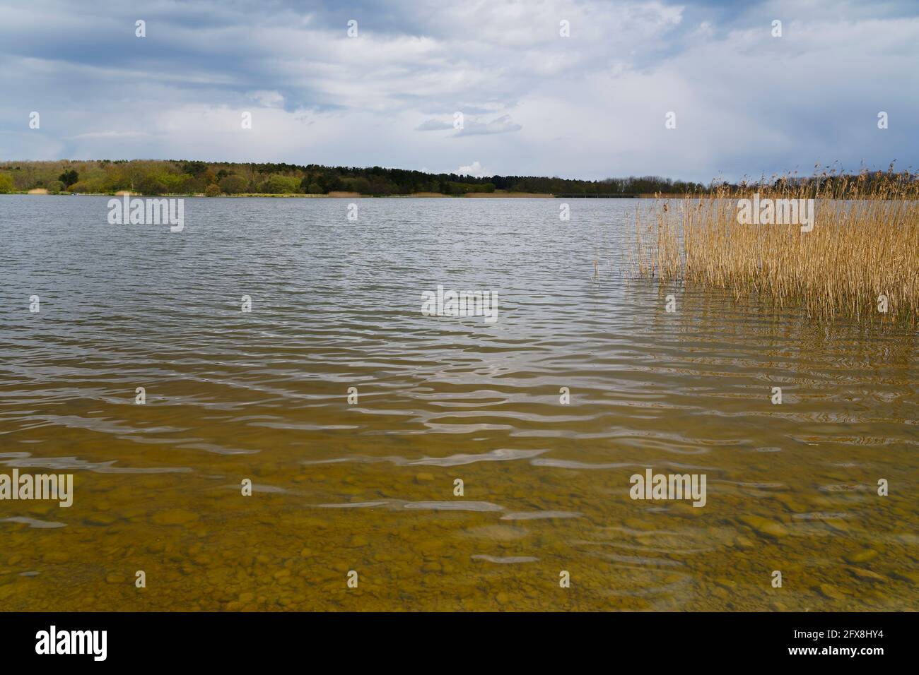 Cielo oscuro sul lago Ladyburn, Morpeth, in una fredda giornata primaverile a maggio. Foto Stock