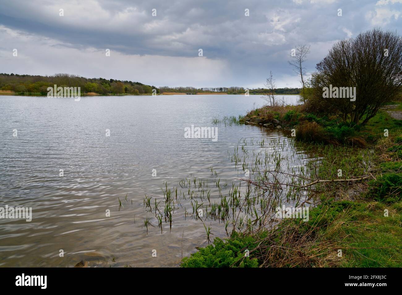 Lungo pennacchio di nuvole piovose si raccoglie sulle acque ondulate del lago Ladyburn, Druridge Bay, vicino a Morpeth, in Northumbria. Foto Stock