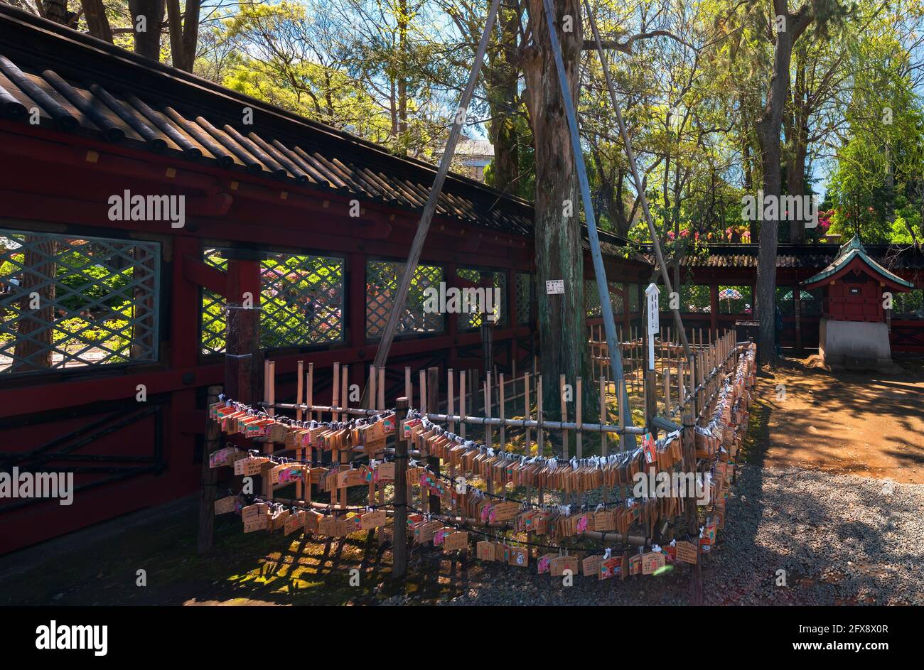 tokyo, giappone - aprile 16 2021: Vermilion sukibei recinto intorno ad un albero conifero kaya e ad una tribuna adornata con un mazzo di Shinto Ema appeso plaqués votivo Foto Stock