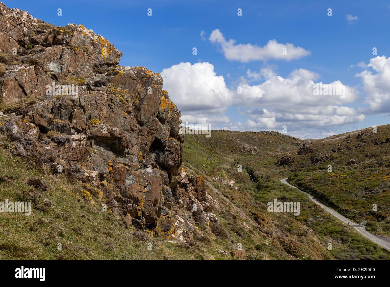 Aspra campagna intorno a Kynance Cove Foto Stock