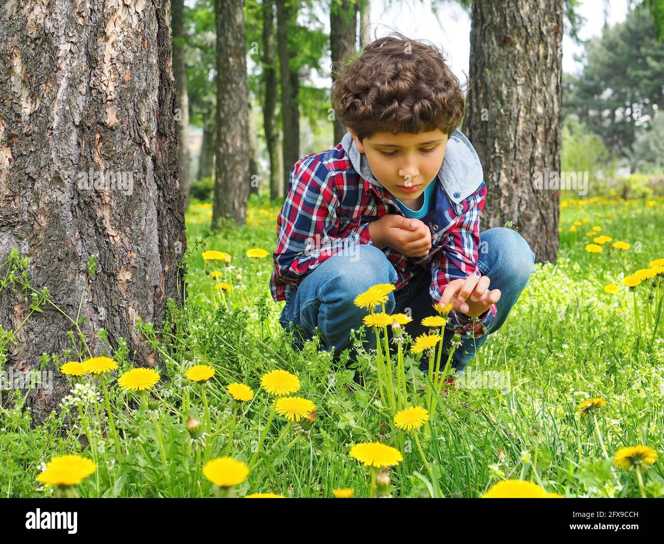 piccolo bambino con dandelioni in giardino. piccolo esploratore Foto Stock