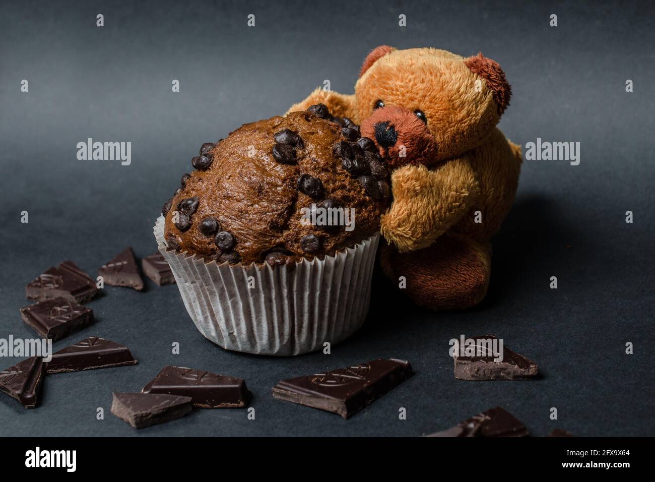 orsacchiotto con muffin al cioccolato Foto Stock