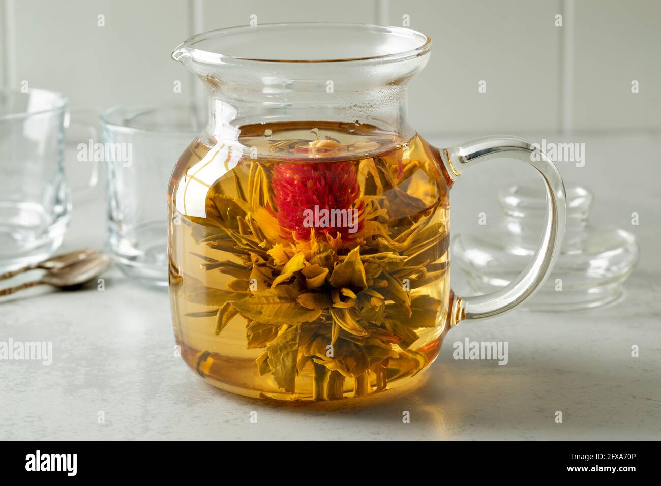 Fiore di tè secco cinese che cresce in una teiera di vetro Foto Stock