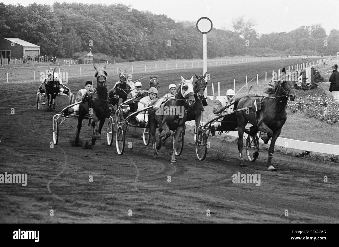 Gara di trotto a Duindigt tra Paesi Bassi e Belgio. Vincitore numero 1 Troubadour (Belgio) con R. Bals, ha lasciato il numero 7 secondo Astryanax (Paesi Bassi) con F. J., 29 settembre 1963, Draveries, vincitori, I Paesi Bassi, foto agenzia stampa del XX secolo, notizie da ricordare, documentario, fotografia storica 1945-1990, storie visive, Storia umana del XX secolo, che cattura momenti nel tempo Foto Stock