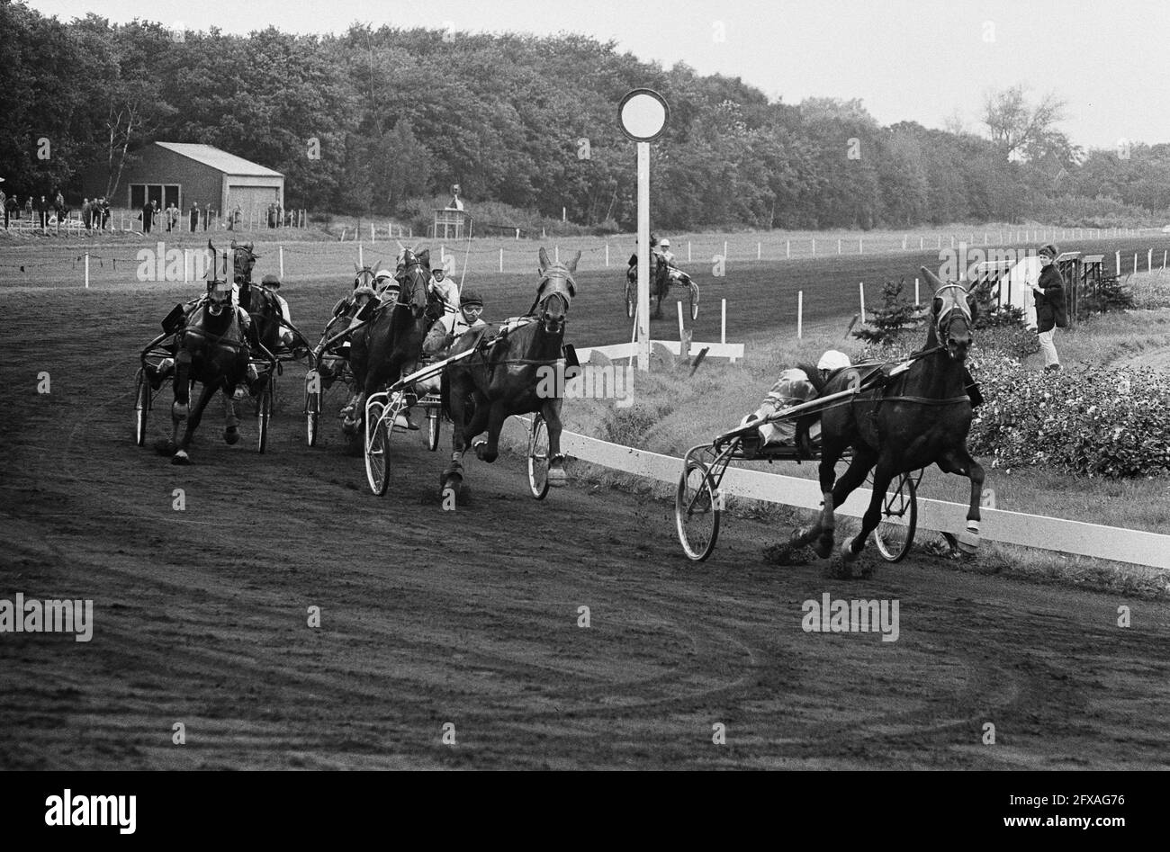Trotto a Duindigt tra i Paesi Bassi e il Belgio. Vincitore numero 1 Troubadour (Belgio) con R. Bals, li numero 7 secondo Astryanax (Paesi Bassi) con F. J., 29 settembre 1963, Draveries, vincitori, I Paesi Bassi, foto agenzia stampa del XX secolo, notizie da ricordare, documentario, fotografia storica 1945-1990, storie visive, Storia umana del XX secolo, che cattura momenti nel tempo Foto Stock