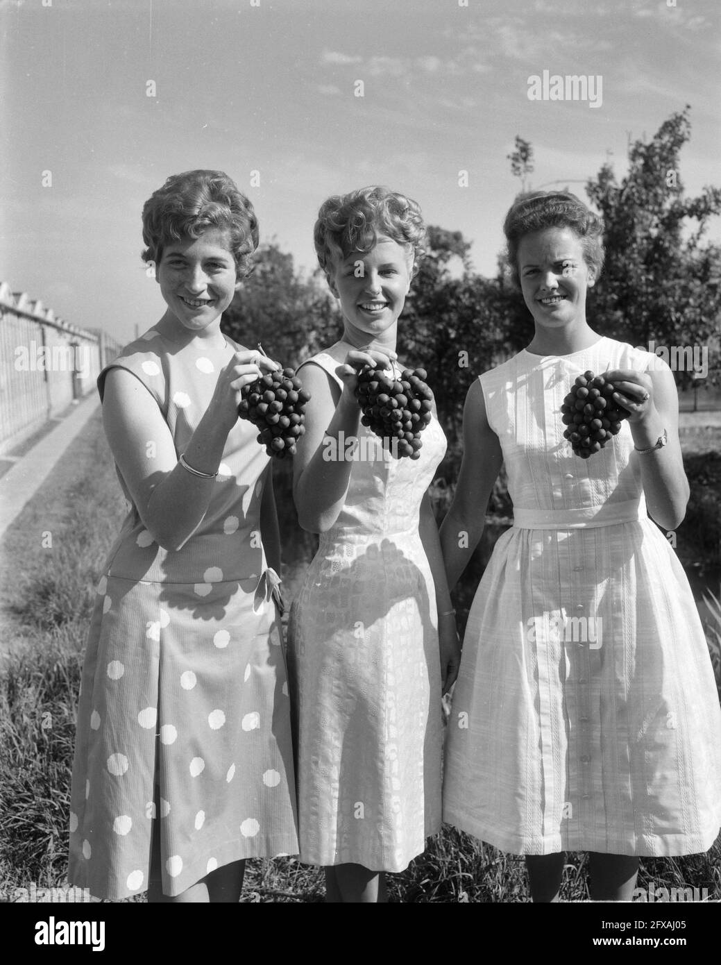 Grape Princess e le sue due Signore hanno presentato alla stampa. Da sinistra a destra: Nel Hofman (signora in attesa), Nellie van der Hout come Grape Princess e GRE, 10 giugno 1963, Signore in attesa, Paesi Bassi, foto agenzia stampa del xx secolo, notizie da ricordare, documentario, fotografia storica 1945-1990, storie visive, Storia umana del XX secolo, che cattura momenti nel tempo Foto Stock