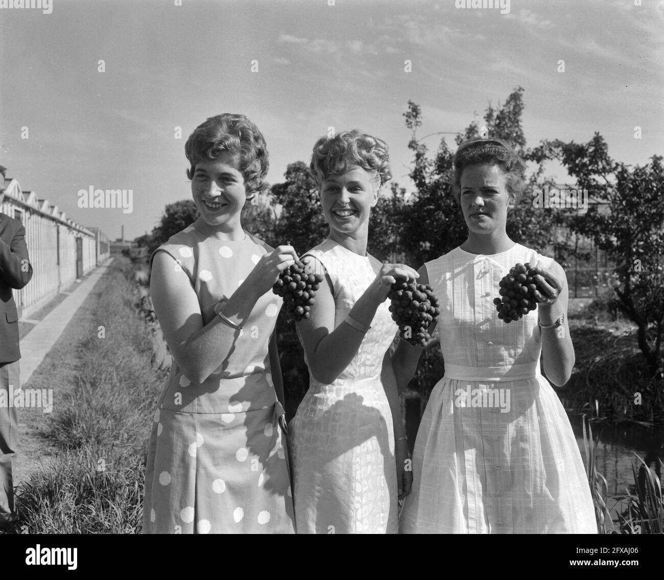 Grape Princess e le sue due Signore hanno presentato alla stampa. Da sinistra a destra: Nel Hofman (signora in attesa), Nellie van der Hout come Grape Princess e GRE, 10 giugno 1963, Signore in attesa, Paesi Bassi, foto agenzia stampa del xx secolo, notizie da ricordare, documentario, fotografia storica 1945-1990, storie visive, Storia umana del XX secolo, che cattura momenti nel tempo Foto Stock