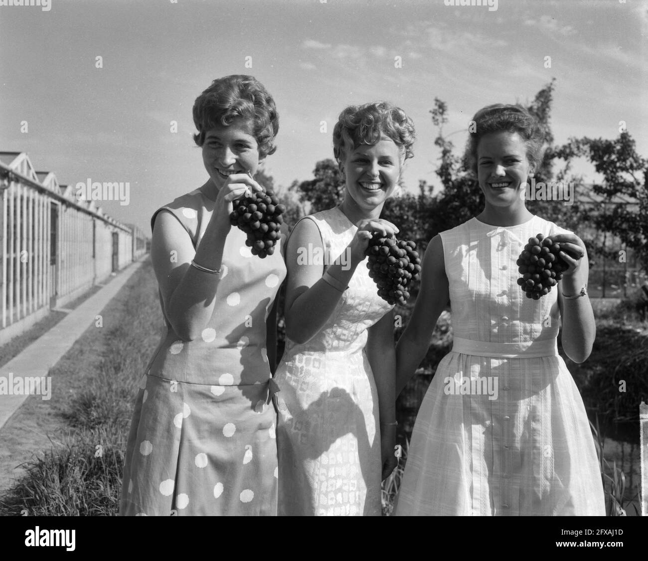 Grape Princess e le sue due Signore hanno presentato alla stampa. Da sinistra a destra: Nel Hofman (signora in attesa), Nellie van der Hout come Grape Princess e GRE, 10 giugno 1963, Signore in attesa, Paesi Bassi, foto agenzia stampa del xx secolo, notizie da ricordare, documentario, fotografia storica 1945-1990, storie visive, Storia umana del XX secolo, che cattura momenti nel tempo Foto Stock
