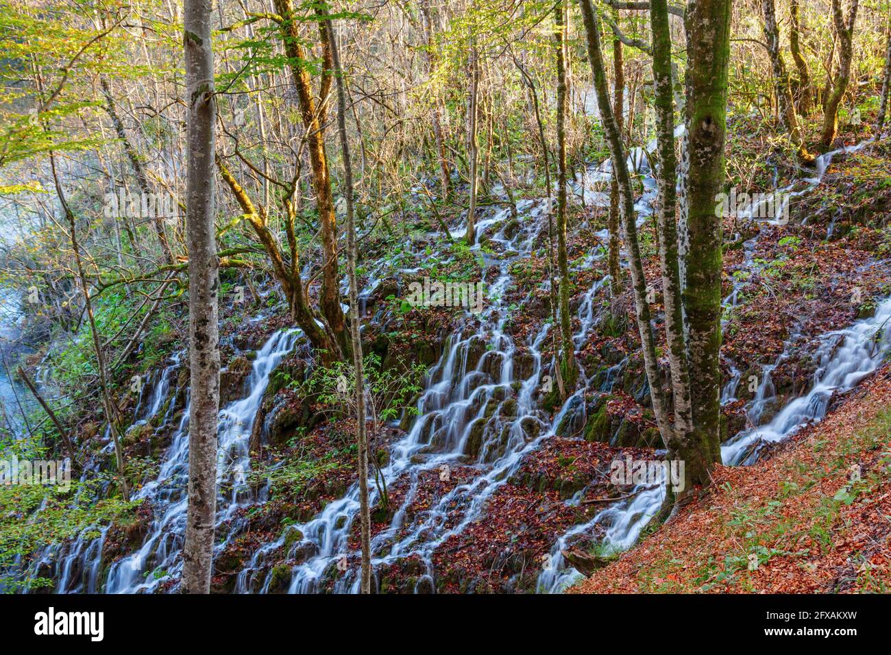 Parco Nazionale di Plitvice, Croazia. Vista autunnale dell'acqua che scorre attraverso la foresta in uno dei numerosi laghi. Foto Stock