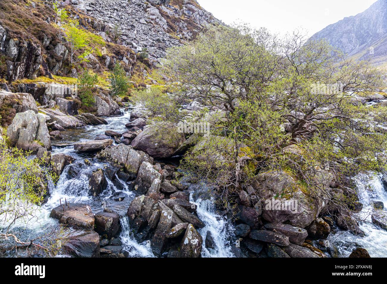 Parte superiore delle cascate di Ogwen dal Pont Pen-y-Benblog Bridge, Llyn Ogwen, Snowdonia National Park, Galles. Foto Stock