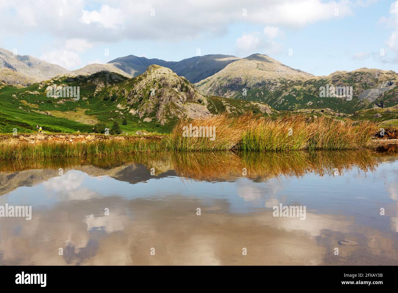 Le colline disseminate di ardesia vicino al vecchio uomo di Coniston si riflettono in una piscina d'acqua a Cumbria, Inghilterra. Foto Stock