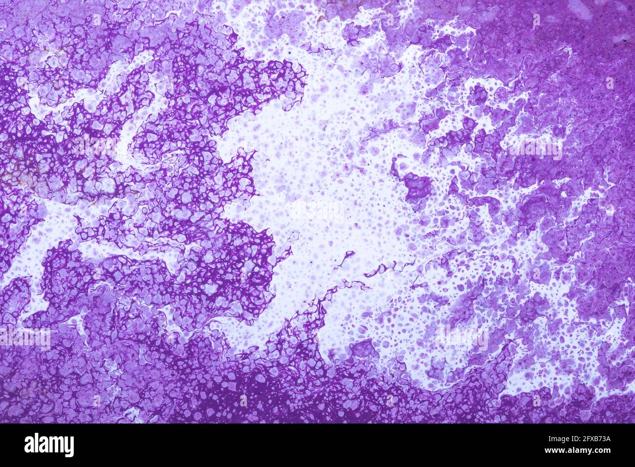 Sfondo dipinto di viola, vernice, motivo viola astratto, struttura magenta, inchiostro liquido. Moderno disegno di lavaggio, pittura. Superficie macchiata, grana textur Foto Stock