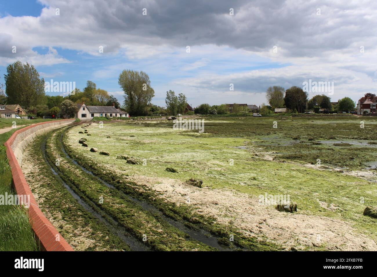 Alte maree depositano vaste quantità di alghe sulla strada del porto con le successive piste dell'automobile. La vecchia casa della scuola può essere vista sullo sfondo. Foto Stock