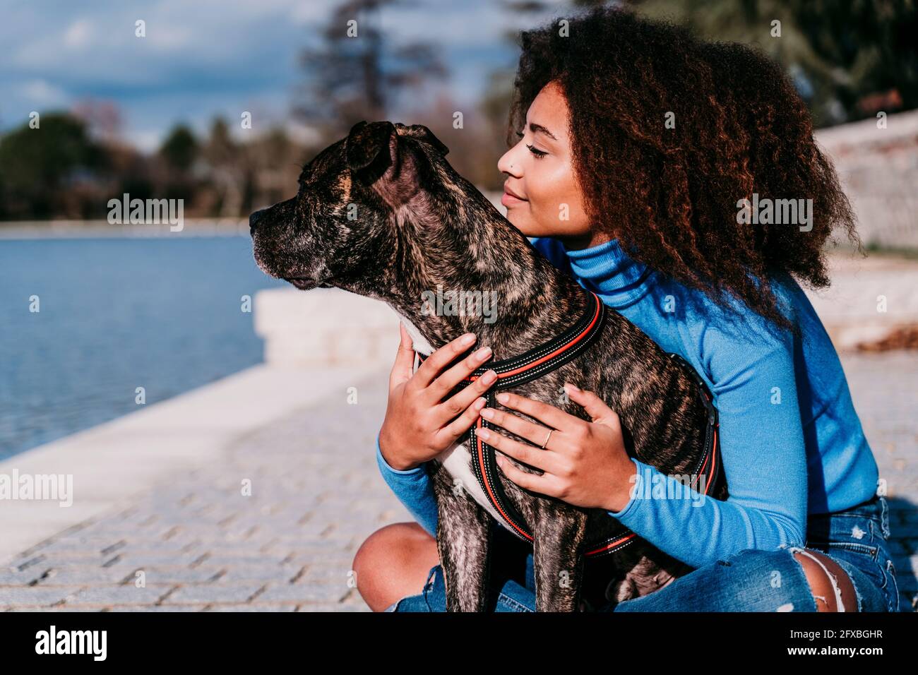 Donna riccia capelli guardando via mentre si siede con American Pit Bull Terrier in giornata di sole Foto Stock