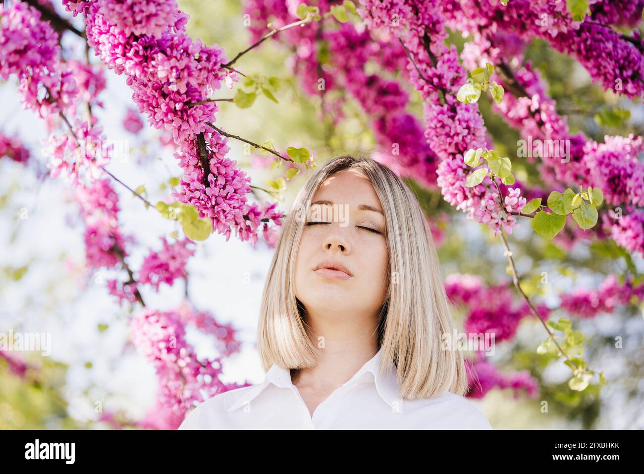 Donna con gli occhi chiusi in piedi sotto l'albero fiorito rosa durante il giorno di sole Foto Stock