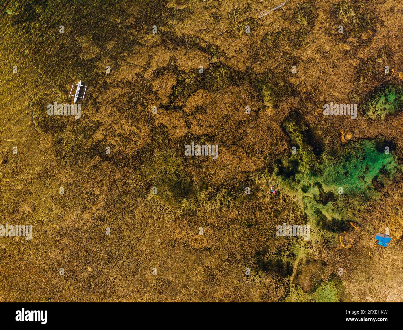 Vista del drone del kitesurf della persona nella barriera corallina trasparente marrone del Mare delle Filippine Foto Stock