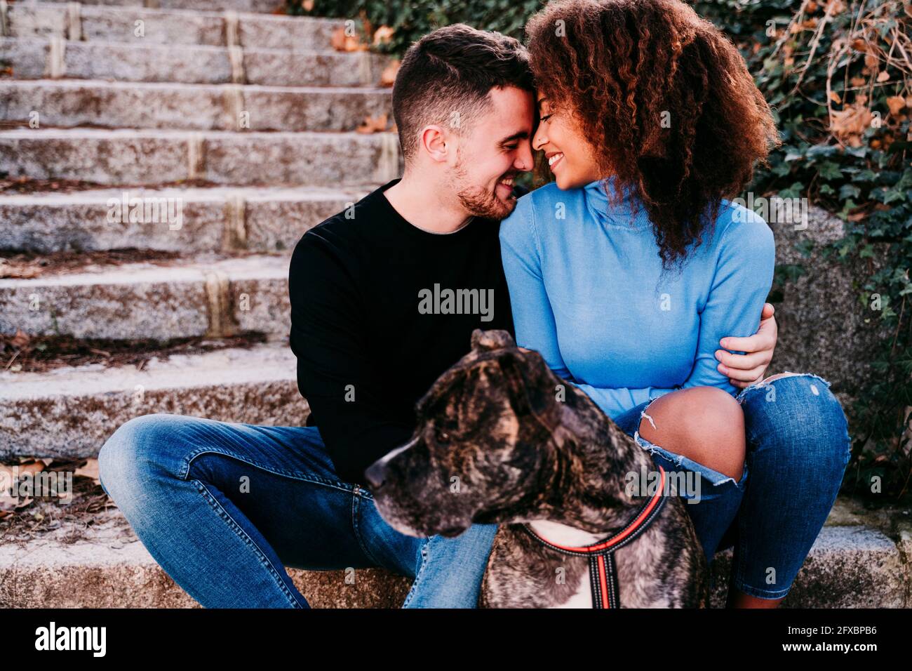 Coppia sorridente seduta faccia a faccia sui gradini con il cane americano Pit Bull Terrier Foto Stock