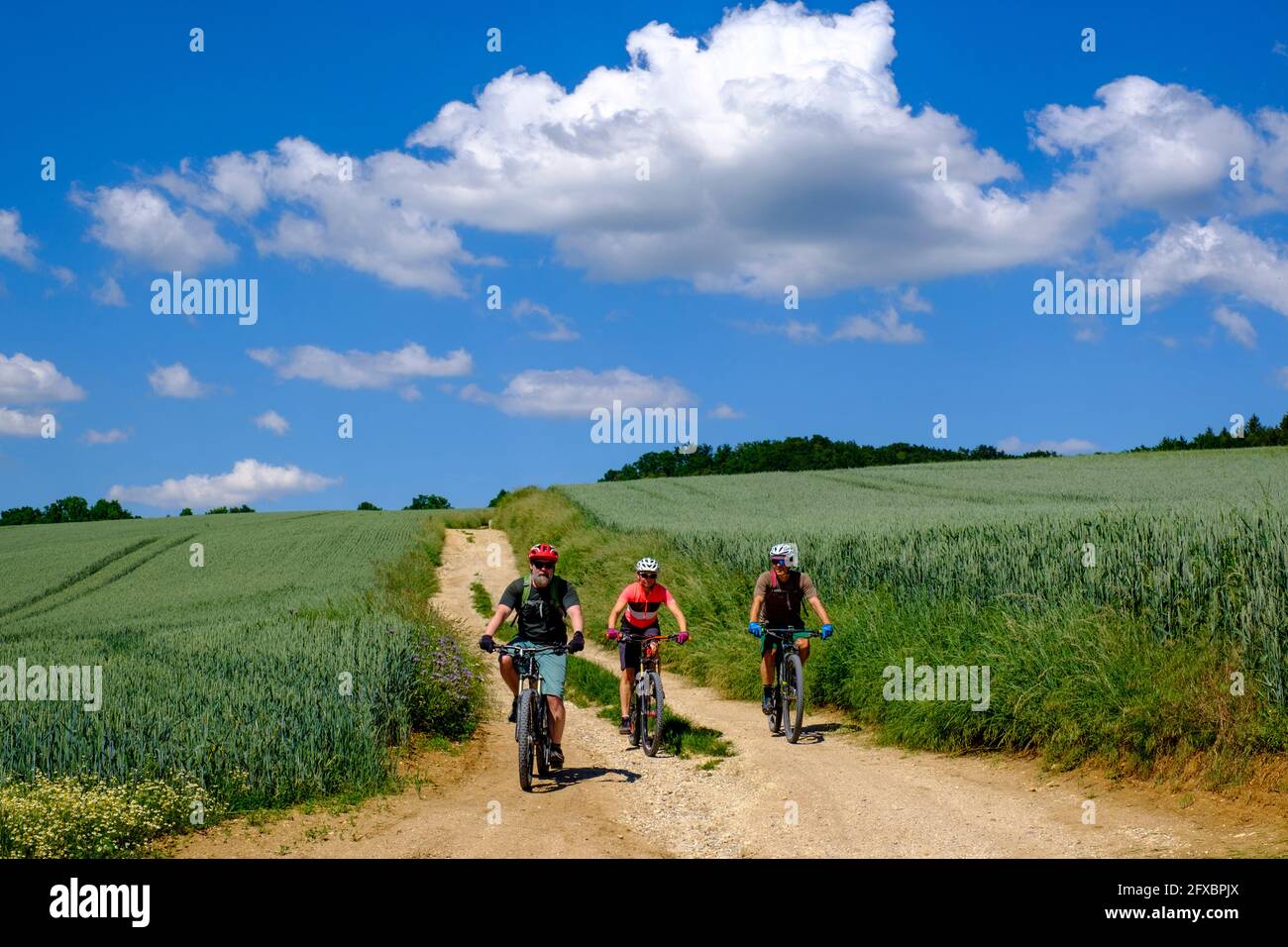 Germania, Baviera, Palatinato superiore, tre adulti maturi in bicicletta in paesaggio rurale Foto Stock