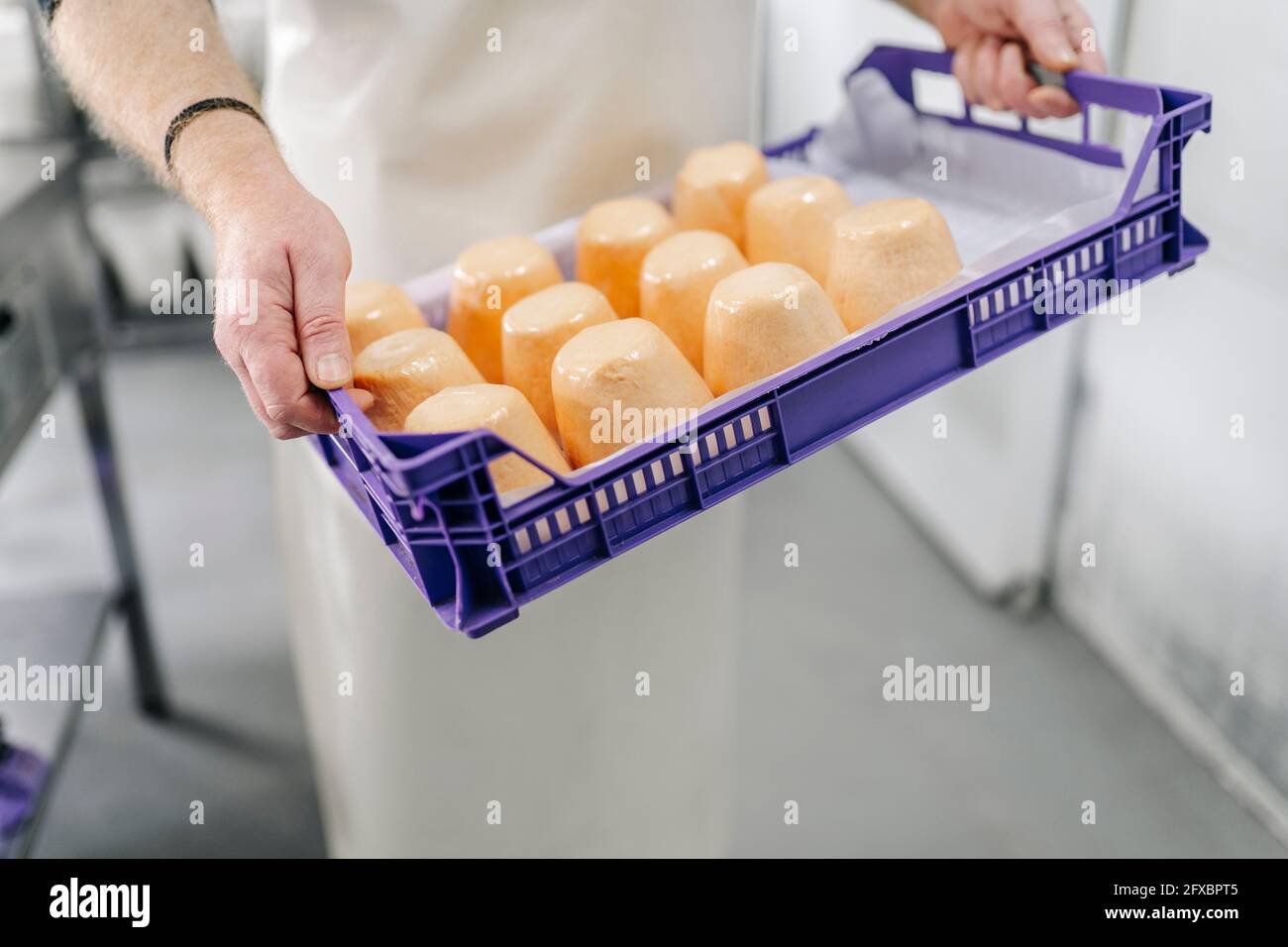 Imprenditore maschio che tiene vassoio di plastica con formaggio in fabbrica Foto Stock