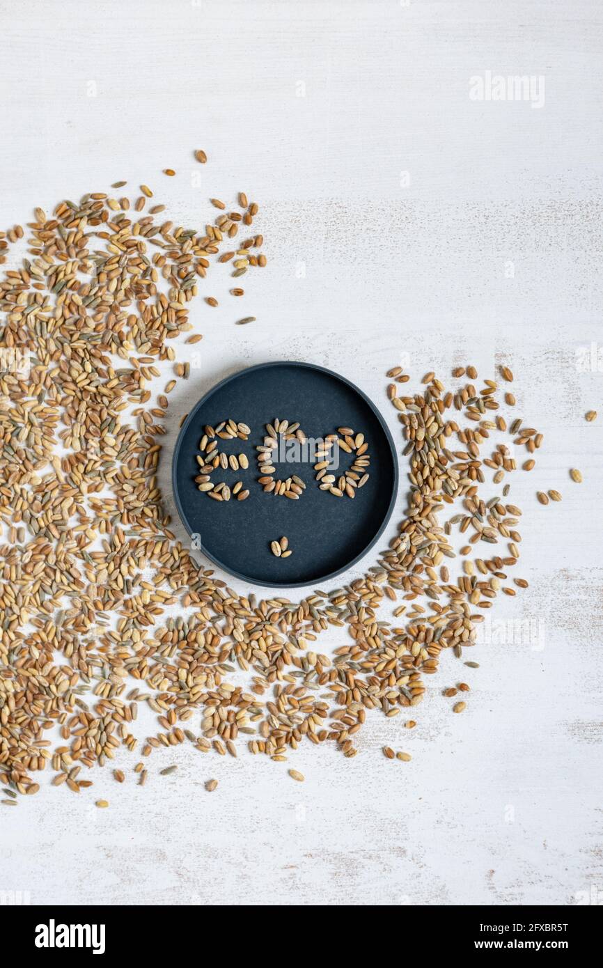 Eco testo in coperchio da grano su fondo testurizzato bianco Foto Stock