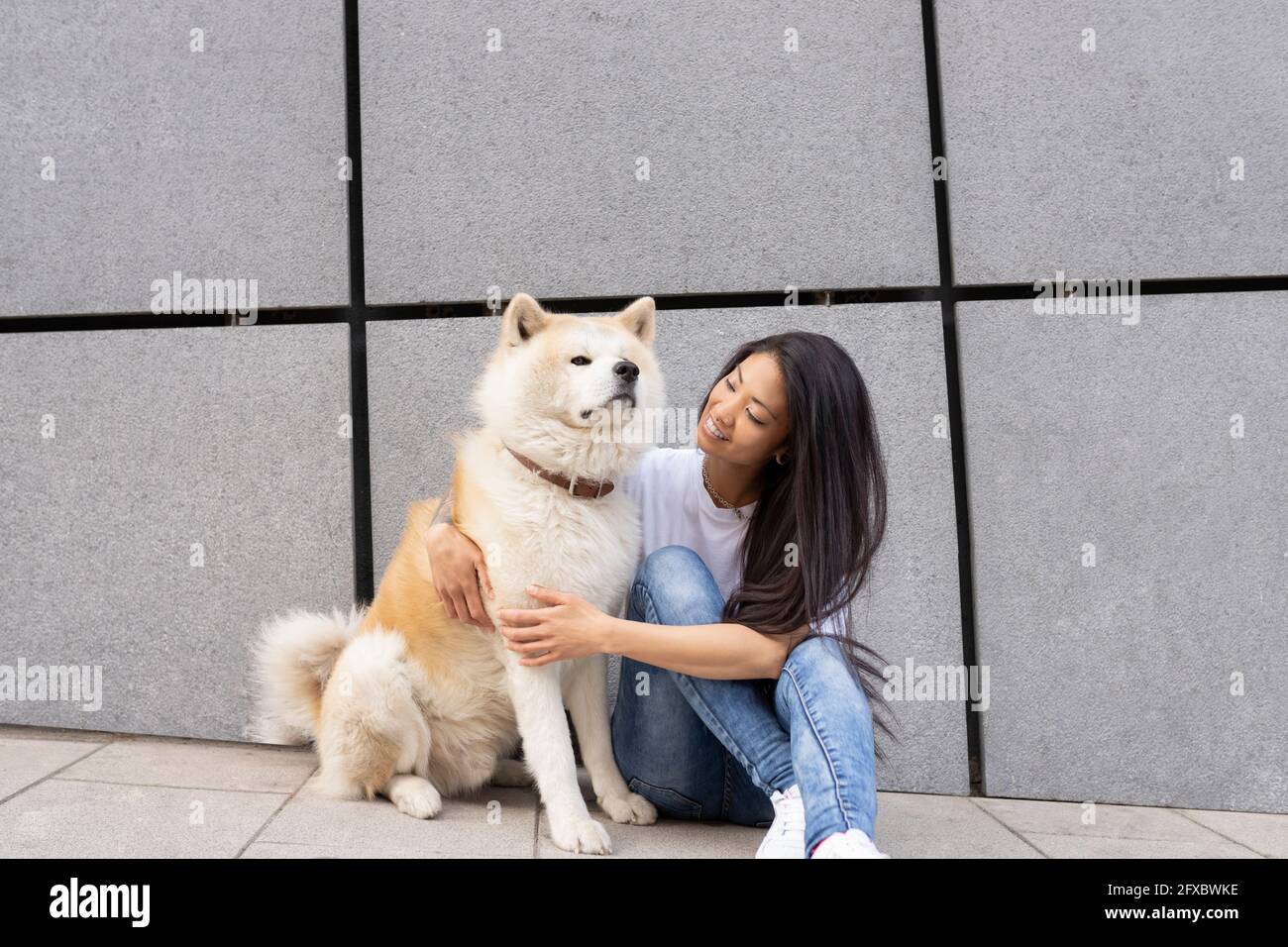 Donna mid adulta seduta con il cane Akita a parete Foto Stock