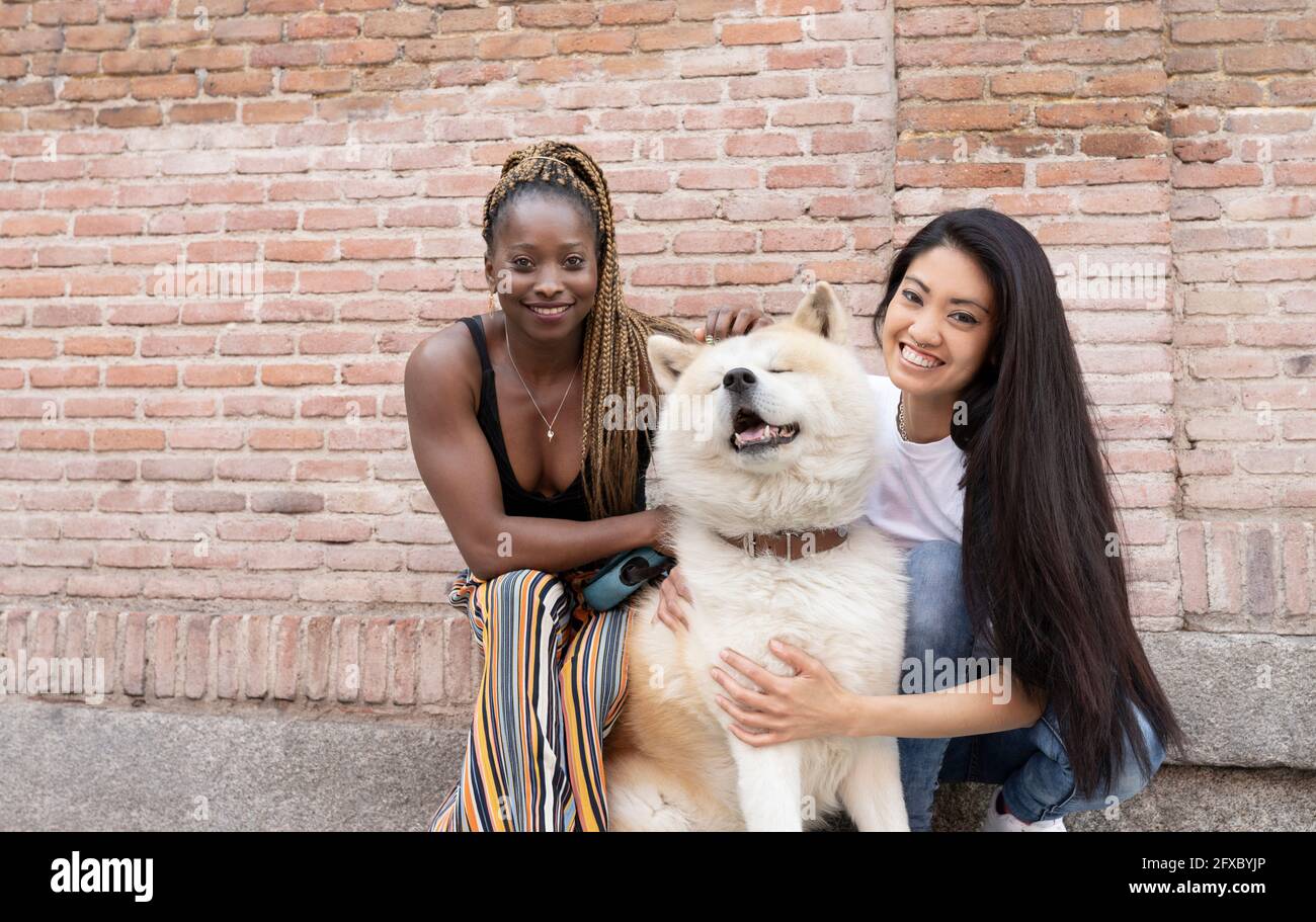 Amici femminili multietnici con Akita Dog da muro di mattoni Foto Stock