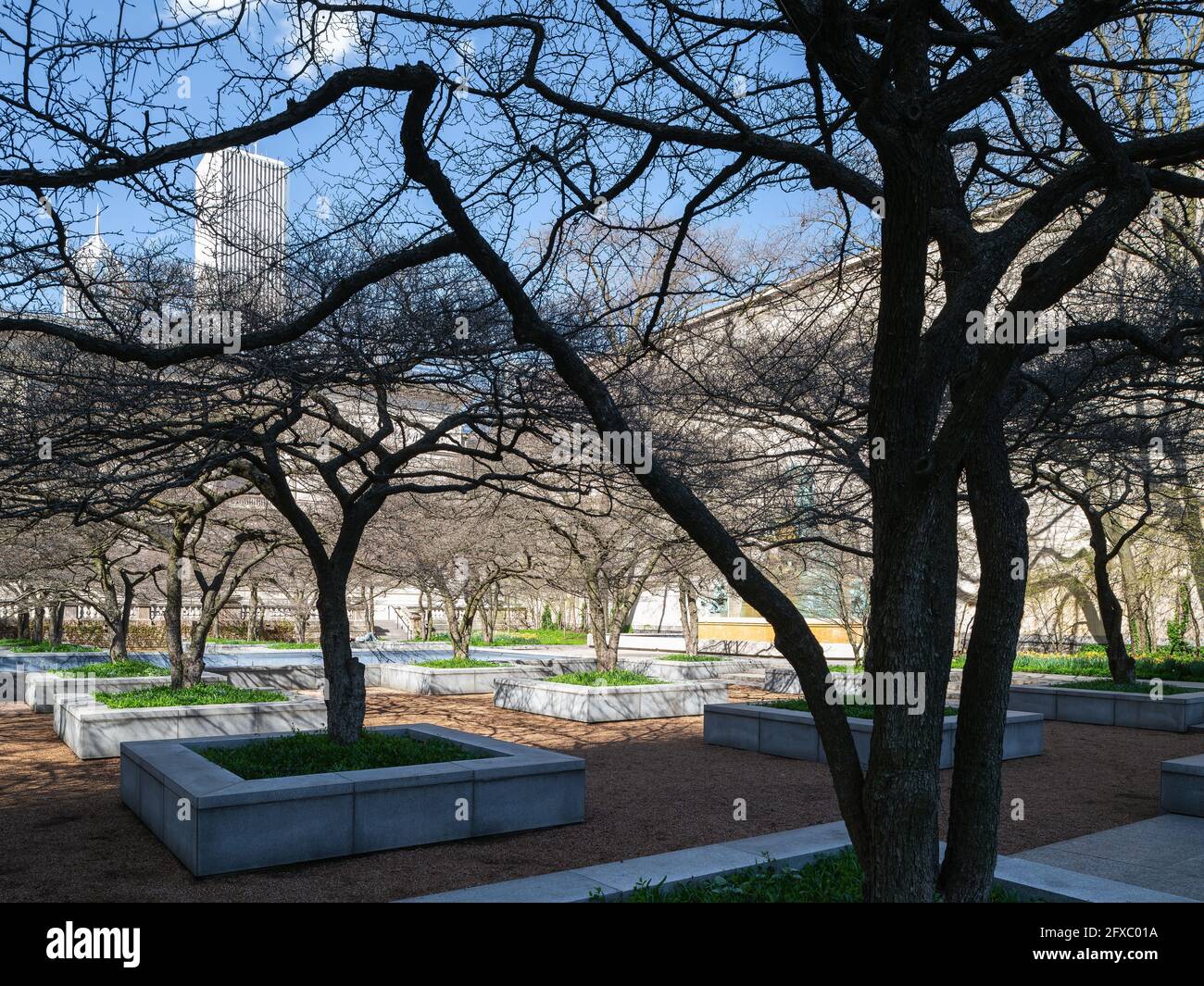 Art Institute of Chicago South Garden progettato da Dan Kiley Foto Stock