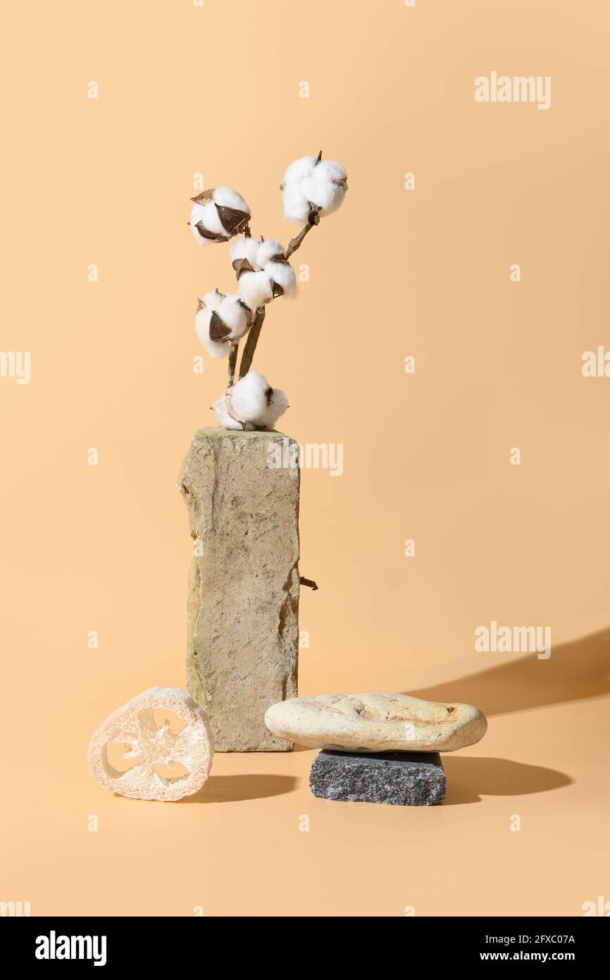 Composizione equilibrata con materiali naturali SPA con stand e podio in pietra, fiori di cotone. Modello, mock-up, eco-friendly composizione monocromatica Foto Stock