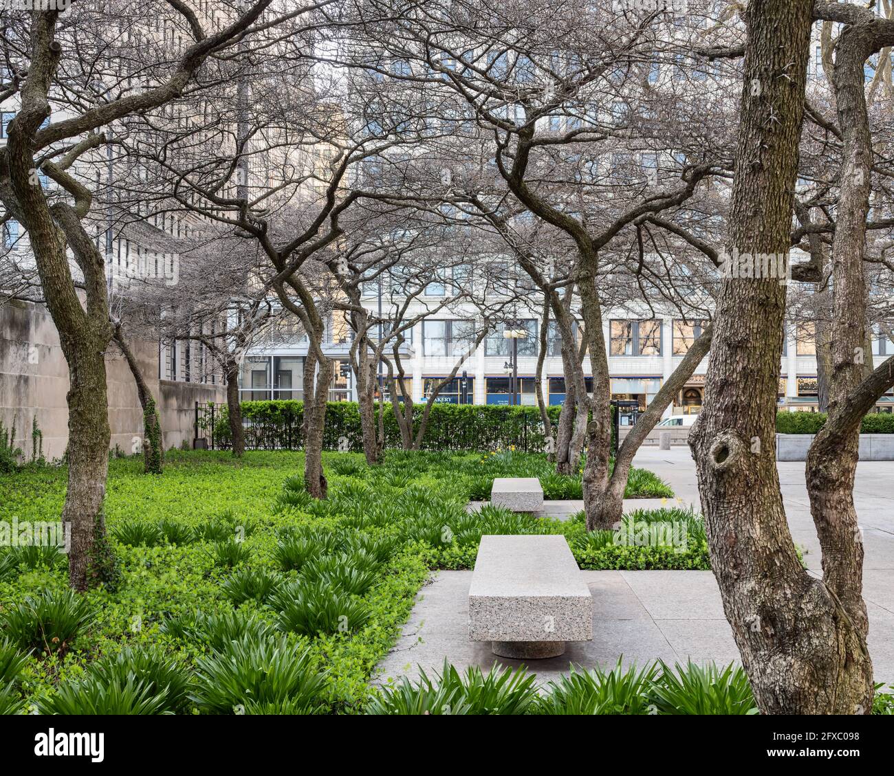 Art Institute of Chicago South Garden progettato da Dan Kiley Foto Stock
