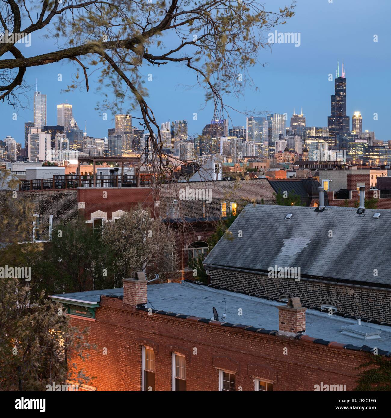 Vista serale dello skyline di Chicago da Wicker Park Foto Stock